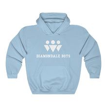 Load image into Gallery viewer, Diamondale Boys Hoodie