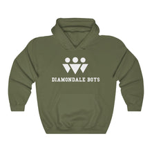 Load image into Gallery viewer, Diamondale Boys Hoodie