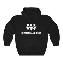 Load image into Gallery viewer, Diamondale Boys Hoodie