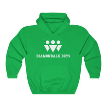 Load image into Gallery viewer, Diamondale Boys Hoodie