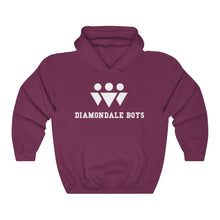 Load image into Gallery viewer, Diamondale Boys Hoodie