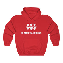 Load image into Gallery viewer, Diamondale Boys Hoodie