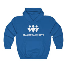 Load image into Gallery viewer, Diamondale Boys Hoodie